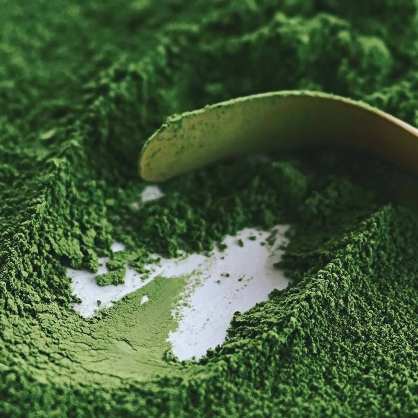 Close-up of Leafmill ceremonial-grade matcha powder with a bamboo tea scoop on a white background