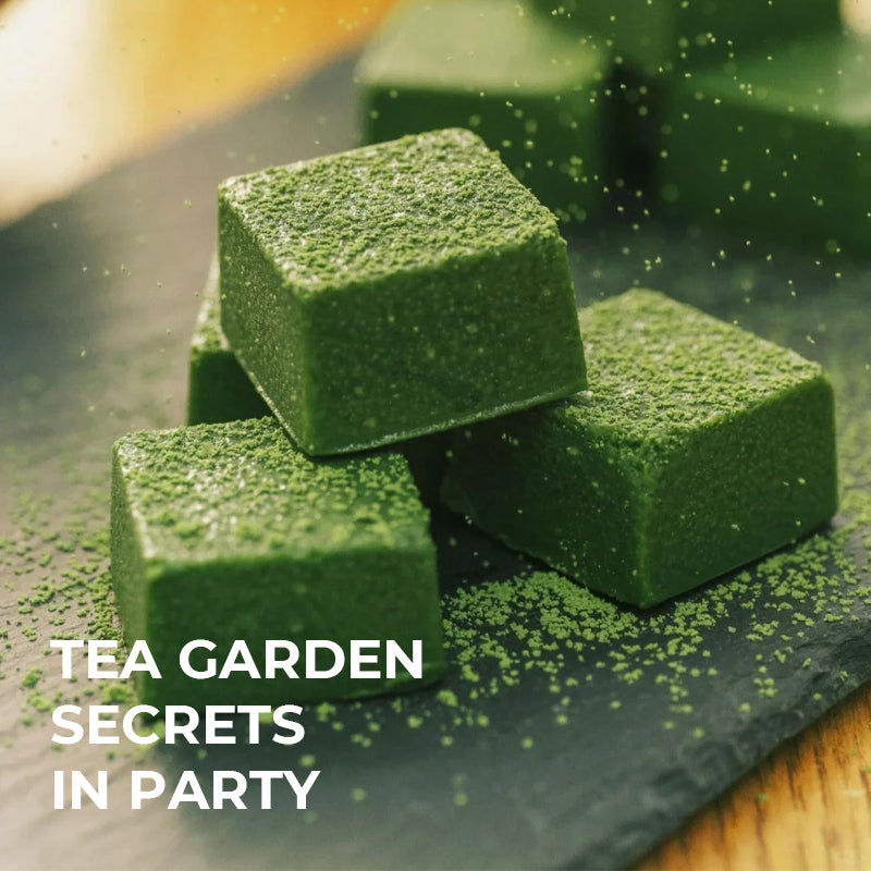Leafmill matcha dessert cubes dusted with green tea powder – party-ready sweet treats inspired by tea garden traditions