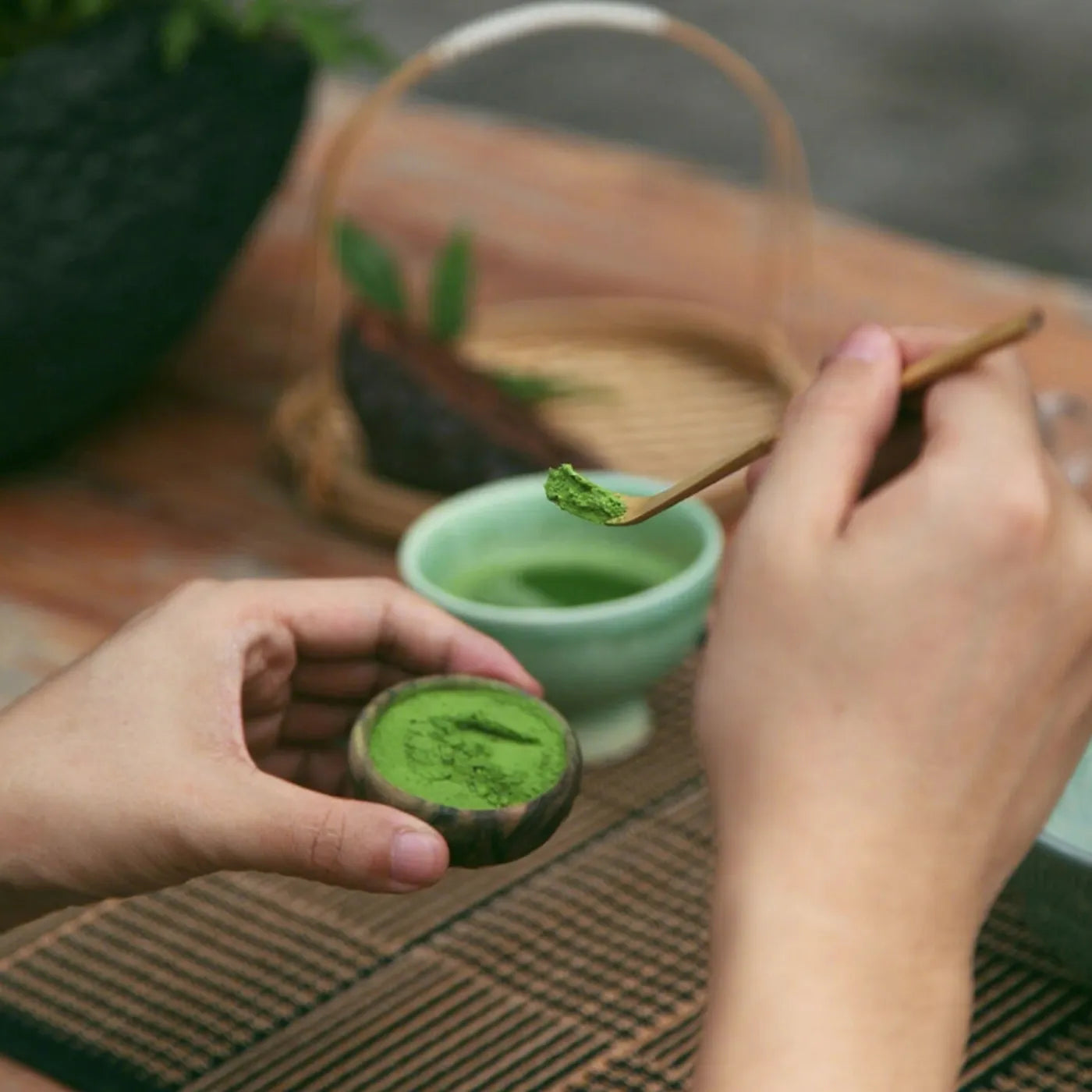 Step one of traditional matcha preparation – scooping ceremonial-grade matcha powder with a bamboo chashaku spoon