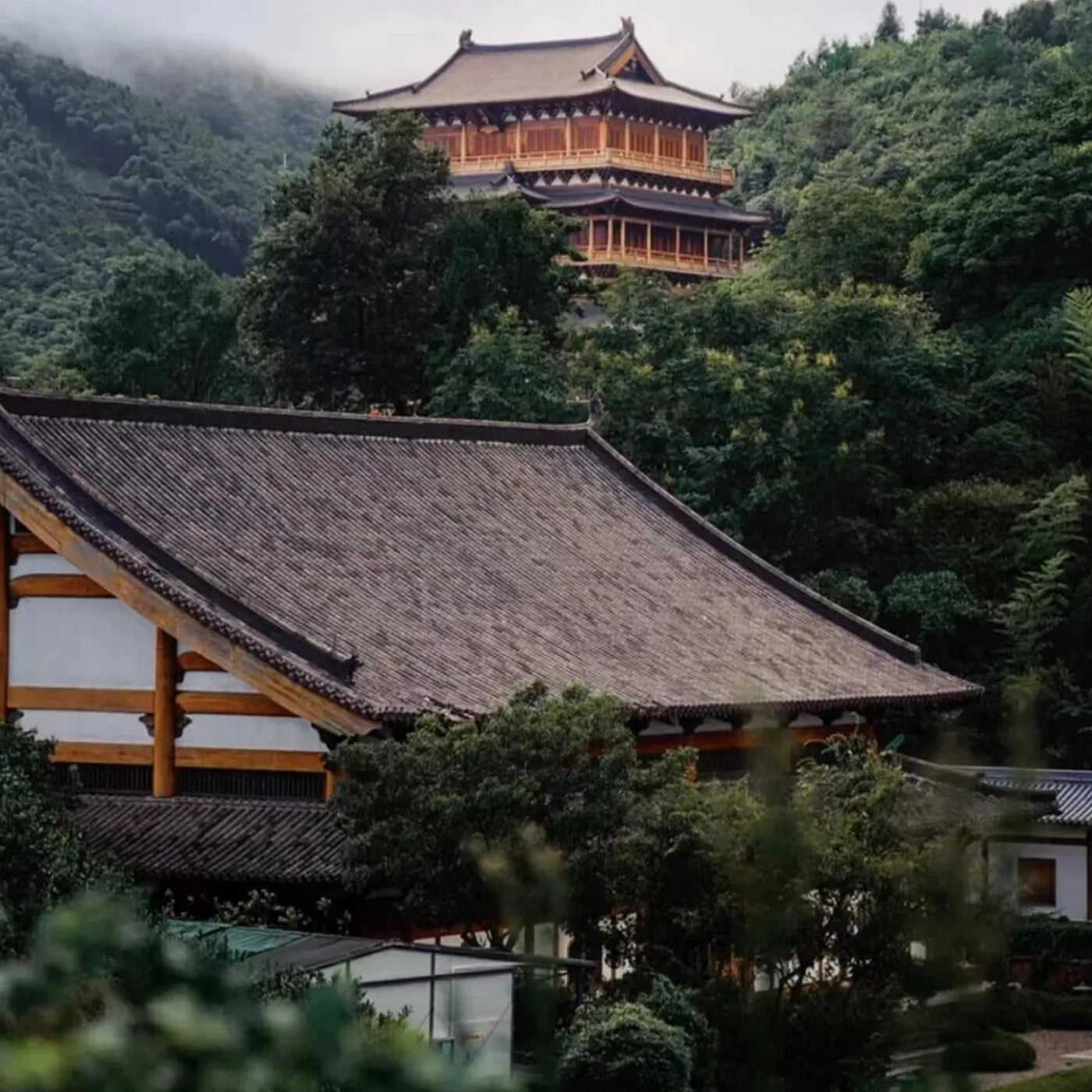 Traditional temple nestled in Leafmill's highland matcha garden, surrounded by lush green mountains